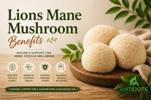 Benefits of Nano Lions Mane